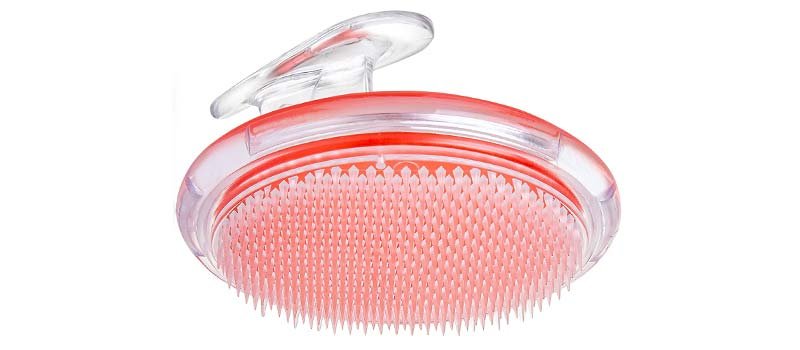 best body exfoliator brush