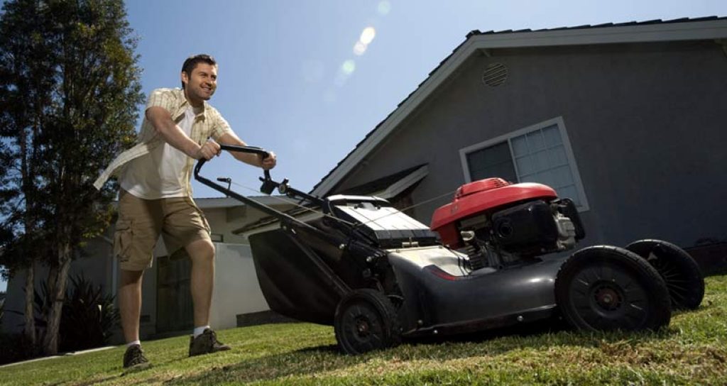 10 Best Grass Cutter Machine in 2023 Buying Guide, Prices