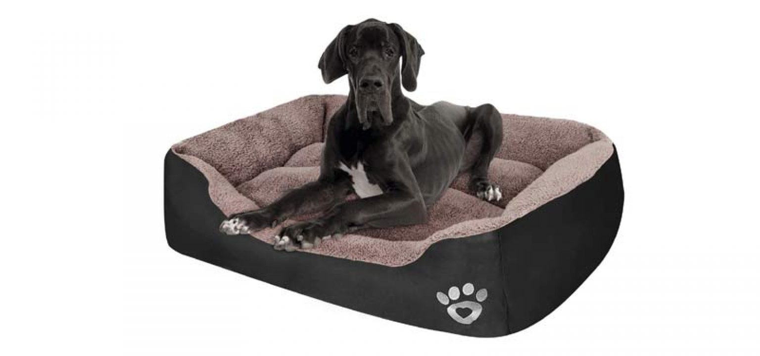 puppbudd calming dog bed